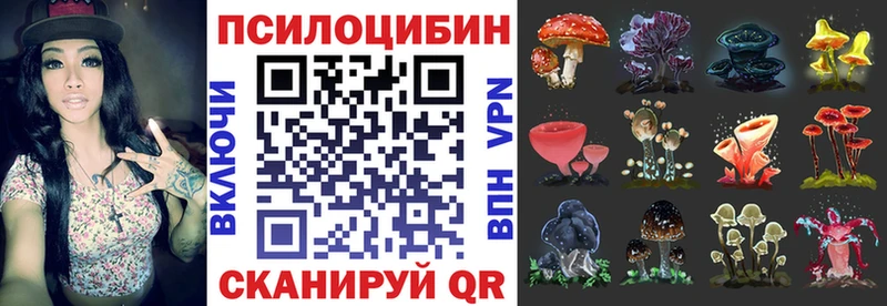 Галлюциногенные грибы Cubensis  наркотики  гидра рабочий сайт  Лесосибирск 
